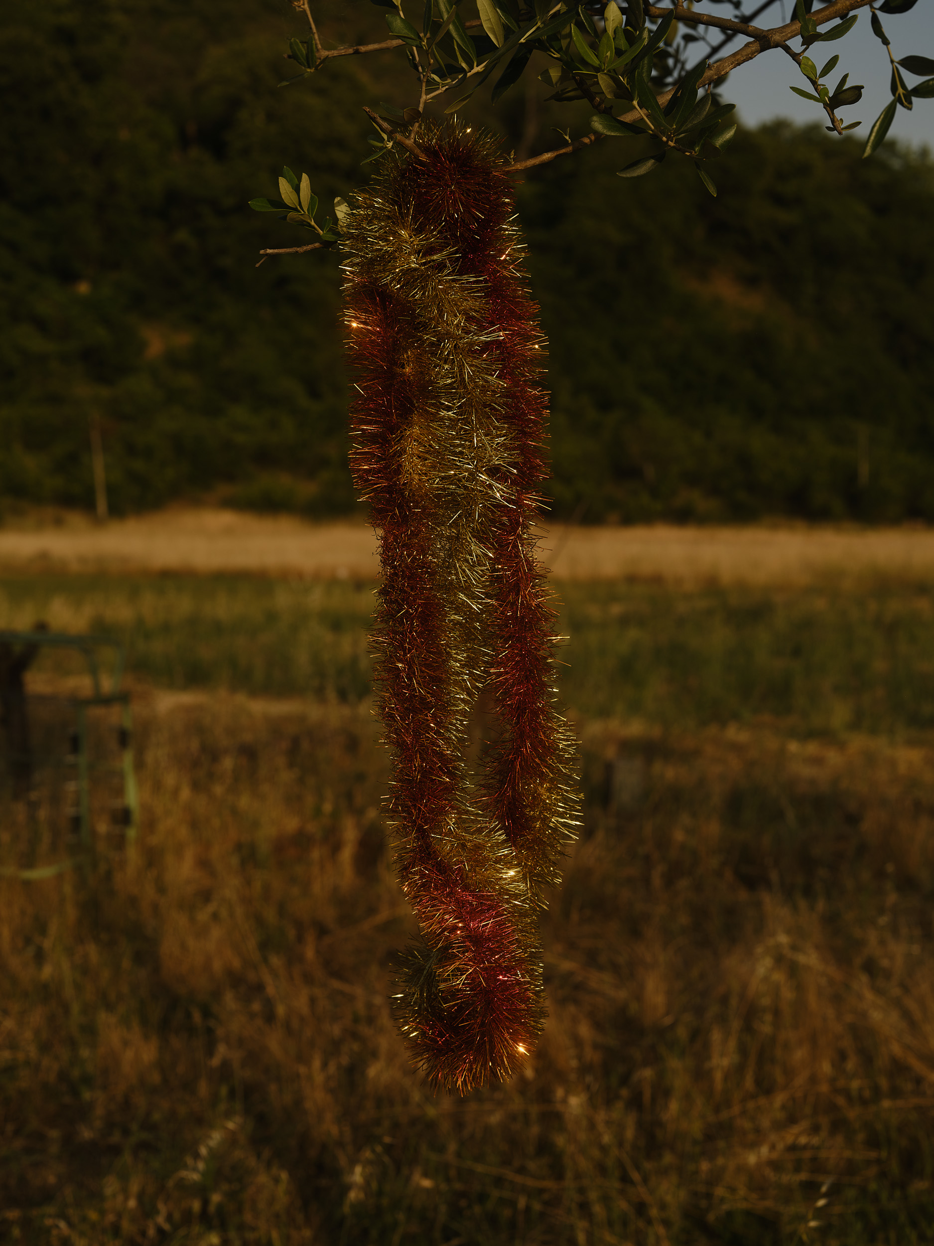 tinsel hangs from a tree